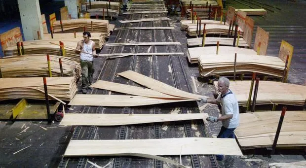 processo de compensado comercial